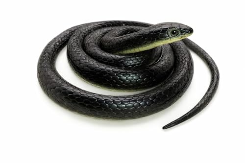 Image of Realistic Rubber Snakes Prank Toys, Halloween Party Decoration and Prank Toys & Gifts, Magic Shows Toy Snake for Kids, Practical Joke Fake Snake for Kids (Pack of 1)