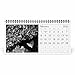 Bats 2026 Desk Calendar