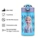 Zak Designs Disney Frozen 2 Kids Water Bottle with Spout Cover and Carrying Loop, Durable Plastic, Leak-Proof Water Bottle Design for Travel (16 oz, 2-Pack, Non-BPA, Elsa & Anna)