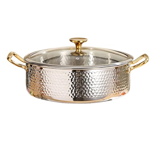 SAeWare Pentola in acciaio inossidabile 304, fatta a mano con coperchio, elegante casseruola per cucina e cucina domestica, argento, 28 cm
