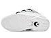 Osiris Men's D3 2001 25 Years/White/Silver 10.5 Medium