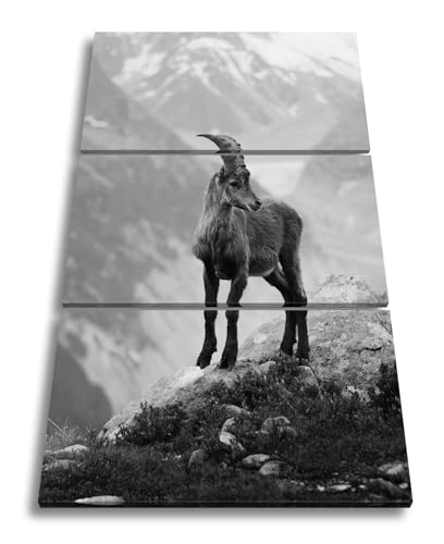 Tableau Capricorne montagne glacée : impression d'art sur châssis