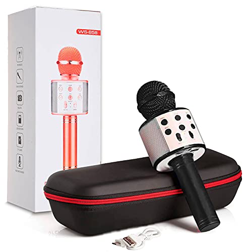 Microfono Inalambrico Negro