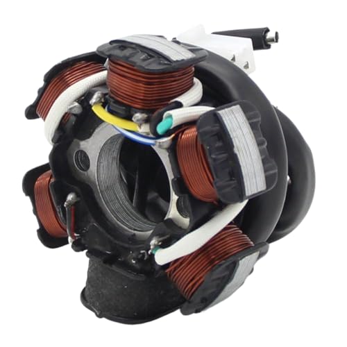 Bobine de stator haute performance pour DS70 DS90 quad - 5