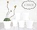 My Urban Crafts 4 Inch White Terra Cotta Pot for Plant with Saucer - 6 Pack Small Clay Plant Pot with Drainage Hole, Flower Pot with Tray, Terracotta Pot for Indoor Outdoor Plant