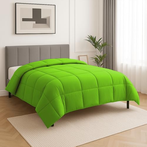 Image of Queen Size Comforter Set - All Season Down Alternative Bedding Comforter Set - Quilted Duvet Insert with Corner Tabs - Box Stitched Blanket - Breathable, Soft - Parrot Green