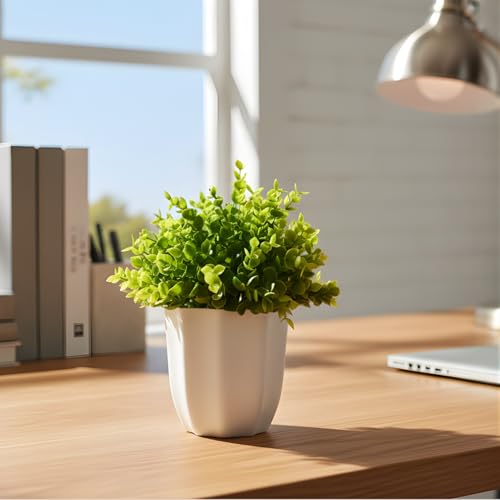 Image of fancymart Artificial Plant Hackleberry Bunch in Pot - 22 cm Height, Perfect for Tabletop Decoration | Ideal for Home & Office Decor