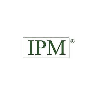 IPM IP-02 (2:1 ratio) Drum Length Transfer Pump Strainless Steel