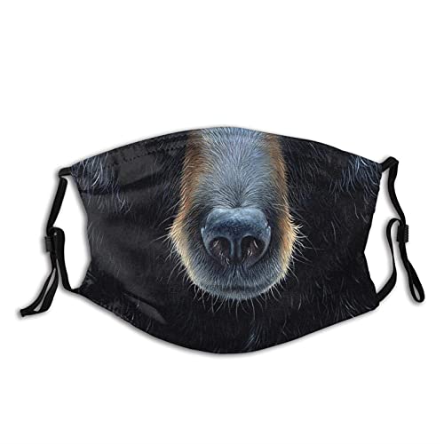 Animal Face Bear Design Face Mask, Washable Reusable Adjustable Adults Masks With Filter Balaclava For Women Men #TOP26