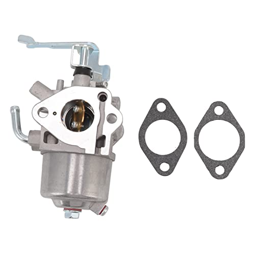 Carburateur durable Mikuni Robin RGX4800 anti-engorgement