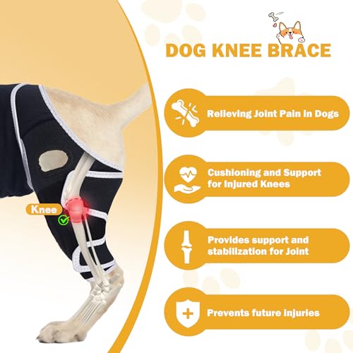 Image of Dog Knee Brace for Torn ACL Hind Leg, Adjustable Dog ACL Braces Rear Leg or Front Legs with Cruciate Ligament Injuries, M