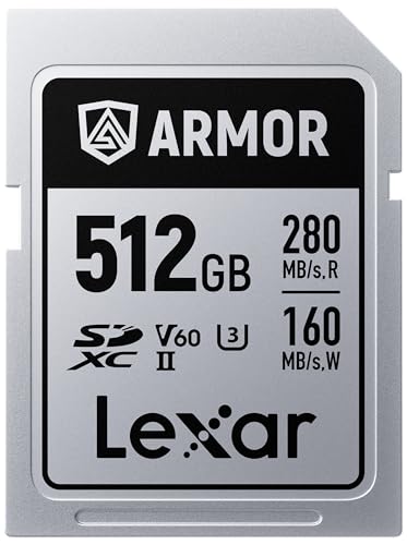 Image of Lexar 512GB Armor Silver PRO SDXC Memory Card, UHS-II, C10, U3, V60, 6K UHD, Up to 280MB /s Read, Stainless Steel, for Professional Photographer, Videographer, Enthusiast (LSDAMSP512G-RNNNU)