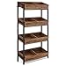 Tribesigns Retail Display Racks, 4-Tier Snack Rack, Chip Stand with Storage Shelves, Merchandise Display Shelves, Easy Assembly (1, Brown)