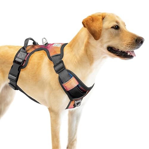 Top 10 Best No Chafe Dog Harness Reviews & Buying Guide Katynel