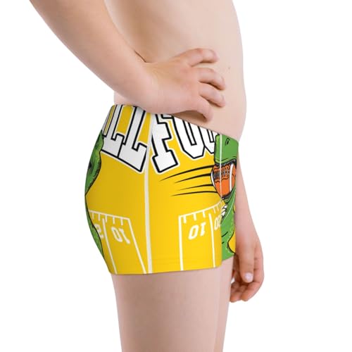 Boys' Cotton Boxer Brief Soft Underwear-T-Rex Playing Football2