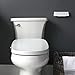 Bio Bidet DLS Premium Heated Bidet Seat, Warm Water & Air Dryer, Auto Open and Slow Close Lid, Elongated
