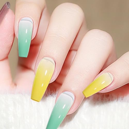 Esmalte de gel de estampado multicolor con paleta para moldear uñas 2