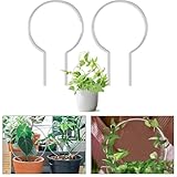 Yuanpgky Marco acrílico para trepar plantas para enredaderas y enredaderas, diseño resistente y ligero para jardín interior y