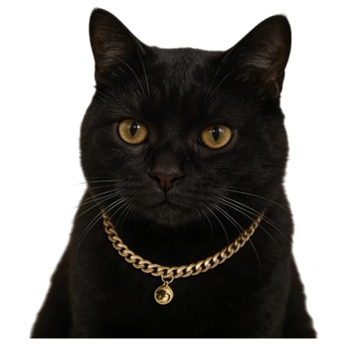 Cwyza Gold Cat Chain Collar with Bell,Adjustable Cuban Link Metal Necklace, Cute Pet Jewelry for Cats & Small Dogs