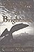 This Side of Brightness: A Novel