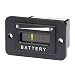 SEARON 48 Volt LED EZGO Battery Meter Indicator Gauge Design Specially for EZGO Golf Cart/Trojan Batteries (48 Volt)
