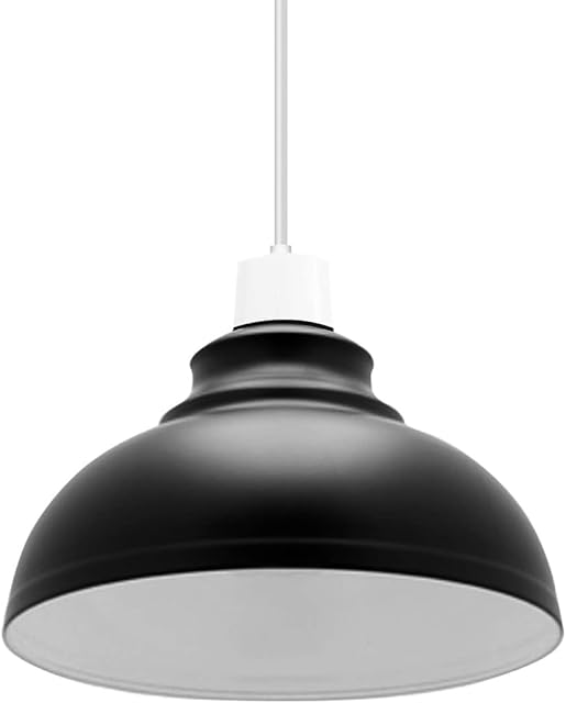 Retro Modern Metal Lamp Shades Ceiling Light Shades, Vintage Industrial 29cm Easy Fit Country Style Bulb Guard, Task Pendant Lighting Bedroom, Kitchen, Office (Free Reducer Plate) (Black and White)