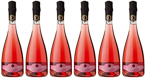 Lunato Vin Rosé DOC Lambrusco Italie 0,75 L - Lot de 6