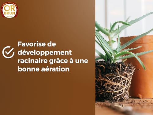 Or Brun Terreau Rempotage Universel - pour Toutes Les Plantes en Pots - 6L – vue 5