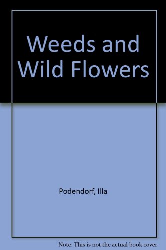 Weeds and wild flowers