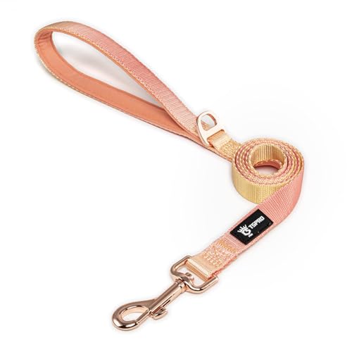 TSPRO Guinzaglio per Cani Leggero, Colore Gradiente Guinzaglio Cane con Maniglia Morbida e Fibbia Metallica, per Cani di Piccola e Media Taglia (Arancione Giallo)