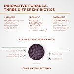 Align Probiotic, 3-in-1 Biotic Gummies, Prebiotic + Probiotic + Postbiotic, #1 Doctor Recommended Probiotic Brand‡, Helps Relieve Occasional Bloating*, BlackBerry Flavor, 50 Gummies - Image 3