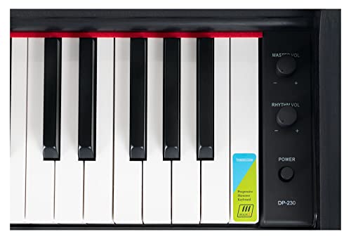 Digitalpiano Classic Cantabile DP-230 SM mit Hammermechanik und 88 Tasten