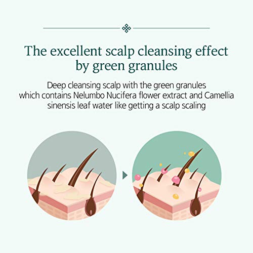 Ryo Scalp Deep Cleansing & Cooling Conditioner 500Ml (16.9Oz) Excess Sebum Care, For Smelly Scalp, Fermented Mint And Other Natural Ingredients, Anti- Dandruff Treatment #TOP3