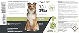 TESTURTEIL SEHR GUT 2026 ReaVET Flohspray für Katzen & Hunde 500ml - Sofortschutz gegen Flöhe bei Befall & vorbeugend mit Langzeitschutz, Flohmittel auch für Wohnung, Möbel I Anti-Floh-Spray
