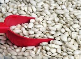 Great Northern Beans, 5 Pounds Usda Certified Organic, Non-Gmo, Dried, Bulk, Product Of Usa , Mulberry Lane Farms #TOP1