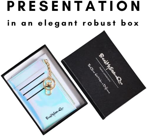All-in-one Pocket Wallet, RFID Blocking Credit Card Holder, Coin Organizer, Key Holder in a Branded Gift Box, Flat Suitable for Front & Back Pocket, Fashion Shiny Girls Best Choice (Silver)