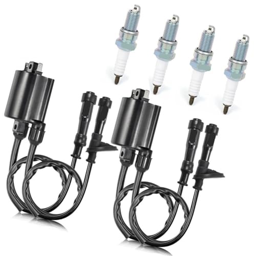 Bobine d'allumage et capuchon haute isolation pour ACE A750 VT750