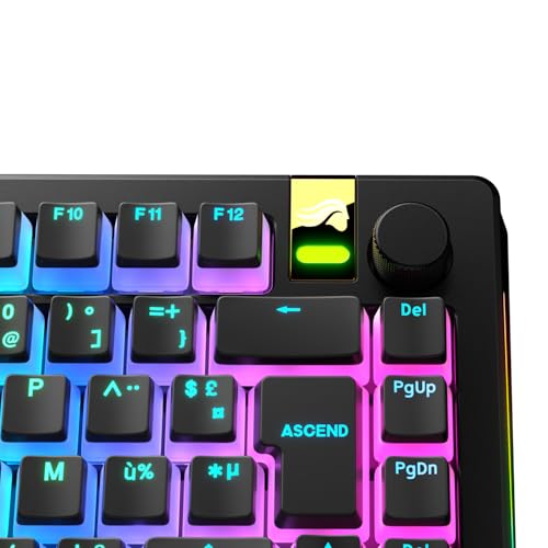 GLORIOUS Aura V2 Tastenkappen (145x) OEM-Profil, Doubleshot PBT, AZERTY – Ansicht 6