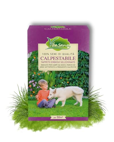 VitaSana Semi per Prato Calpestabile – Tappeto Erboso Selezionato | Alta Resistenza al Calpestio, Crescita Rapida, Adatto a Tutti i Terreni | Per Aree Gioco, Giardini e Parchi | 1 kg per 50 m²