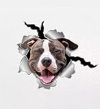 Photo Gallery pitbull - adesivo in vinile 3d, effetto svolto, impermeabile, per auto, laptop, finestra, frigorifero (18 cm) Photo Gallery pitbull - adesivo in vinile 3d, effetto svolto, impermeabile, per auto, laptop, finestra, frigorifero (18 cm)