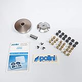 Variateur Variateur Polini pour Scooter Peugeot 50 Looxor Tsdi Neuf