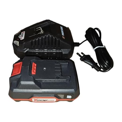 Parkside Akku 20 V PAP 20 A1 inkl. Ladegerät Akku Ersatz Akku 20V X 20 V Team