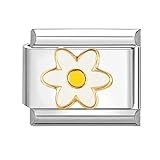 SBHXTDM Italian Charm Link Bracelet Charms, Daisy Flower, Angel, Blue Starfish, Stainless Steel, 9mm