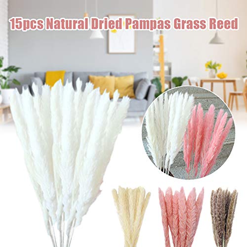 Taloit 15 stks Natuurlijke Gedroogde Pampas Gras Bloem Bos Boeket Gedroogde Bloem Thuis Bruiloft Bloemen Decor 60-80cm - Afbeelding 7