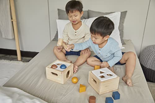 Image of PlanToys Shape & Sort It Out - Orchard Collection (5473)