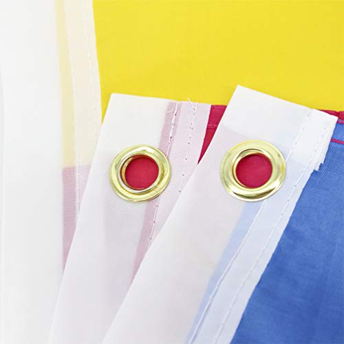 Bandeira do arco-íris de poliéster da PretyzOOM com bandeira pansexual grande