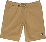 Element Herren Shorts Vacation Shorts