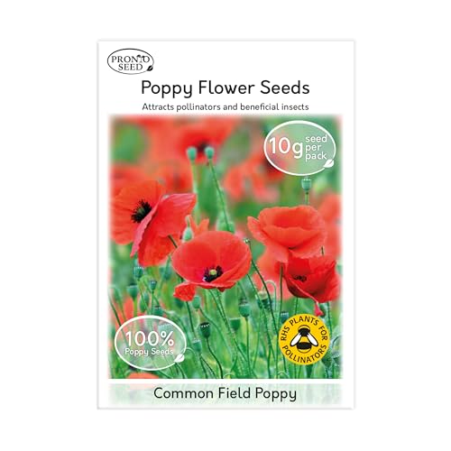Pronto Seed Field Poppy Wildflower Seeds UK 10g