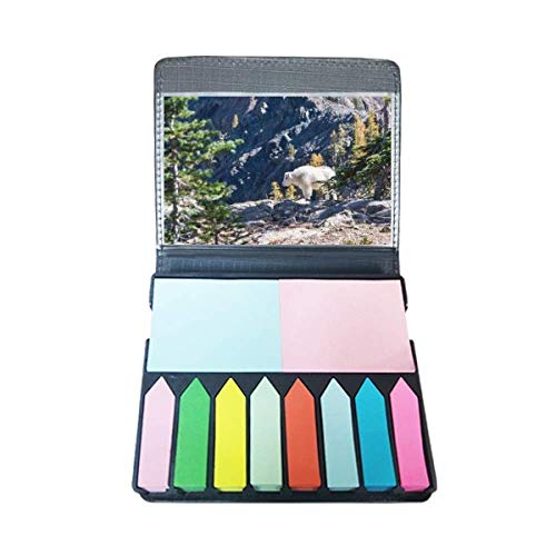 Bloc-notes nature et marque-page ours blanc pour ne plus vous perdre