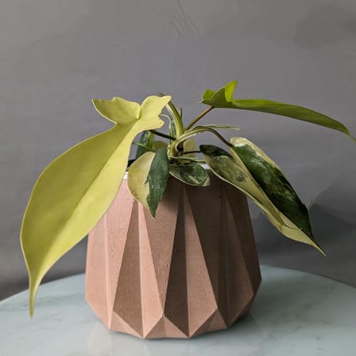 Image of Little Jungle X CuteCrete Sage Concrete Planter For 3 inch - 4 inch Pots (Pink)